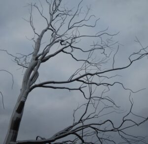 B – National Gallery of Art Sculpture Garden, Washington D.C., United States